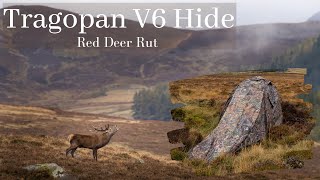 Wildlife Photography  Red Deer Rut  Tragopan V6 Hide [upl. by Ahsik]