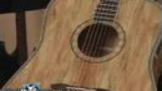 Washburn Acoustic Guitar D46SP Demo [upl. by Brody]