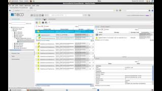 TIBCO BusinessWorks ProcessMonitor Overview [upl. by Tnemelc]