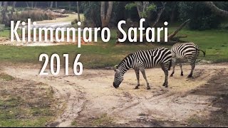 Kilimanjaro Safari 2016 with Tyler [upl. by Yetsirhc]