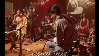 Jimmy Barnes  Flame Trees Live [upl. by Bashuk509]