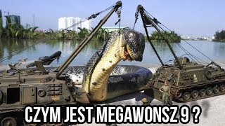 MEGAWONSZ 9  CIEKAWOSTKI O HODOWLI HETERODONA W DOMU [upl. by Aniara]