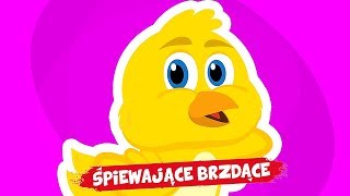 Śpiewające Brzdące  Żółty kurczaczek 😍😍😍 Piosenki dla dzieci [upl. by Neelhsa]