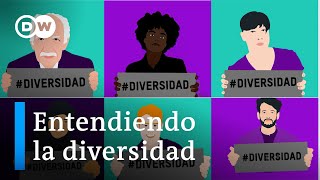 ¿Qué es la diversidad [upl. by Panthia458]