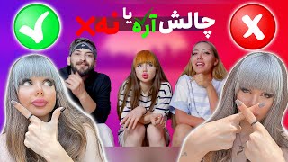 چالش آره یا نه ✅❌Yes Or No Challenge✅❌Nika falahi  نیکافلاحی [upl. by Eniamirt]