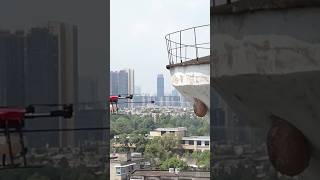 See how a beehive is removed using a drone 😱 shorts [upl. by Dnaltroc698]