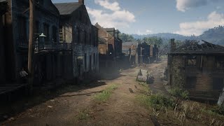 VISITE VAN HORN RED DEAD ONLINE [upl. by Ed]