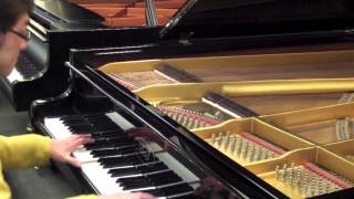 IBACH PIANO AND KENTARO 2 [upl. by Hinman845]