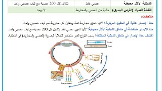 المستقبلات الضوئية 1 توزع العصي والمخاريط على الشبكية 4k بكالورياسوريا [upl. by Aihsik]