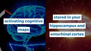 How the Brain Constructs Cognitive Maps for NonSpatial Memory [upl. by Laverne248]