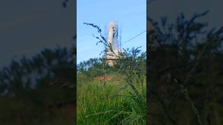 Places to visit in Badulla  Alugolla buddha statue [upl. by Lorain731]