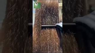 Repair Damage HairHair smoothing At HomeHair Smoothing Cream Home Remedy shorts yt haircare [upl. by Hennahane]