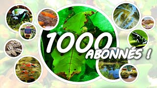 😃 🍾 🥳 1000 ABONNES  Foire Aux Questions des abonnés 1ère partie [upl. by Akyssej]