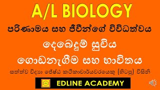 දෙබෙදුම් සුචිය  පරිණාමය සහ ජීවීන්ගේ විවිධත්වය Advanced Level Biology Sinhala Lessons [upl. by Aleciram]