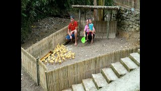 How to make a modern and comfortable bamboo duck coop [upl. by Pence]