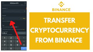 How to Transfer Cryptocurrency from Binance Quick amp Easy  Binance Tutorial [upl. by Timothea608]