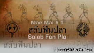 Muay Thai Boran Forms Mae Mai vol1 [upl. by Drehcir]