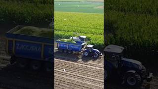 Chopping corn silage ClassJaguar990 Zaccaria trail NewHollandT7245 farming agriculture farmlife [upl. by Aitropal320]