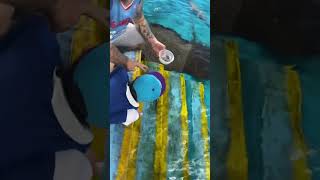 Stingray feeding experience at Manila ocean Park stingray stingrays manilaoceanpark [upl. by Dubois]