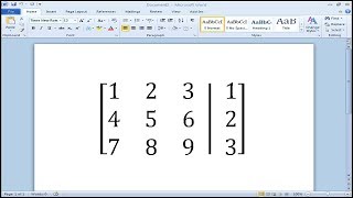 How to create an augmented matrix in Word [upl. by Nuhsyar]