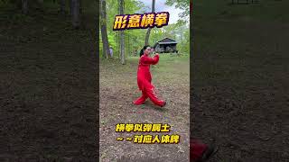 chinesemartialarts xingyiquan 形意五行之横拳 横拳似弾属土～～对应人体脾 Heng Fist is corresponds to the human spleen [upl. by Suolevram]