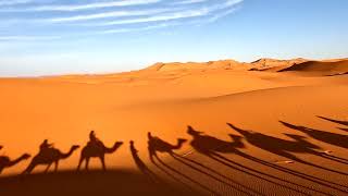 🐪Secretos del Desierto del Sahara Revelados [upl. by Toddy]