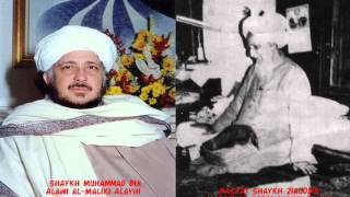 Shaykh Muhammad Bin Alawi alMaliki with Shaykh Ziauddin Madani [upl. by Olonam]