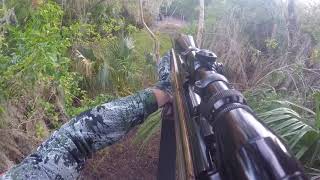 Alligator Alley Outfitters Review Florida Hog hunting Video Made By Hunter Jacob [upl. by Ceporah957]