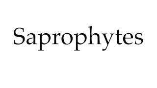 How to Pronounce Saprophytes [upl. by Mays61]