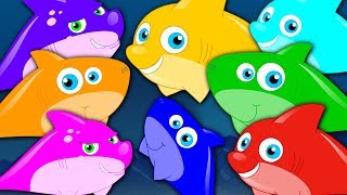 Learn Colors  Shark Colors Song  Learning Videos For Children  Cartoons For Babies by Kids Tv [upl. by Aihsenat]