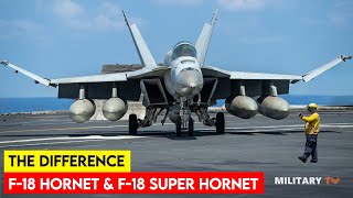 What is the Difference Between F18 Hornet and F18 Super Hornet [upl. by Ricca854]