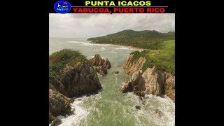 la PUNTA ICACOS en YABUCOA [upl. by Anu158]