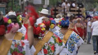 Carnaval Parade returns to SF celebrating Latin American and Caribbean cultures [upl. by Warring744]