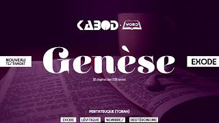 « Genèse »  LAncien Testament  La Sainte Bible audio VF Complète [upl. by Hafinah]