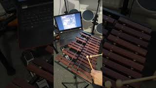 krasnoederevoofficial Красное дерево  кишки Кавер на ксилофоне ксилофон music xylophone муз [upl. by Morven458]