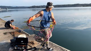 Crabbing You won’t BELIEVE how much crabs I caught off this dock Catch amp Cook [upl. by Feigin]