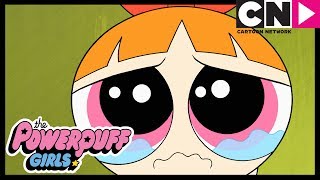 Pétalo está triste  Las Supernenas  Cartoon Network [upl. by Edahsalof445]