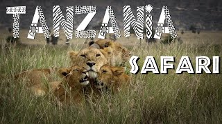 Safari in Tanzania [upl. by Demmy593]