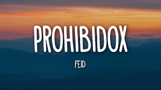 Prohibidox  Feid LetraLyrics [upl. by Towrey]