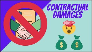 Particulars of Claim  Contractual Damages [upl. by Schnorr50]