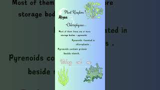 algaept11biologyneetncertbiologystudyclass11thplantkingdommoralofthestorymusicfypシ゚viral [upl. by Lory157]