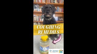 Quick and Easy Dog Coughing Remedies shorts [upl. by Ardnos774]