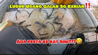 Terjumpa Lubuk Udang Galah Sg Kerian Udang Buat Perhimpunan Agung Rasanyaa…🎣🎣🎣 [upl. by Calista]