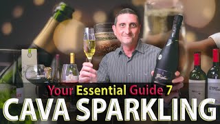 Spanish Cava Sparkling Wine What You Need to Know [upl. by Boice208]