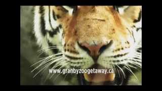 Granby Zoo Get Away [upl. by Akenaj]