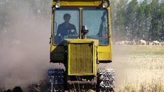 One soldier in the field  DT 75ml plow in field  Один в поле воин  ДТ75МЛ пашет в поле [upl. by Ailsa908]