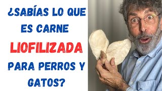 ¿SABÍAS QUÉ ES LIOFILIZAR Y COMO LIOFILIZAMOS CARNE PARA PERROS Y GATOS TE LO EXPLICO TODO [upl. by Leahcimed256]