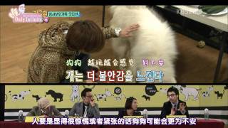 唯愛Infinite111112KBS2家族的誕生EP1InfiniteCut中字 [upl. by Nnylsaj240]