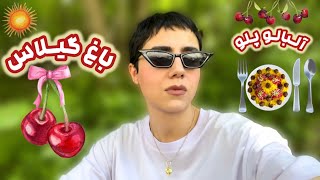 آلبالو پلو درست کردم🍒😋ولاگ سفر یک روزه الموت🏔️ [upl. by Appledorf]