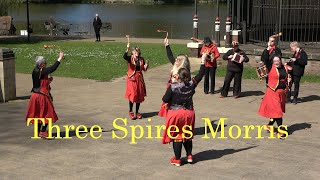 Three Spires Morris dance quotMiner Islandquot at St Georges Day of Dance at Walsall Arboretum [upl. by Mun]